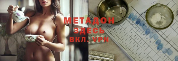 стаф Алзамай