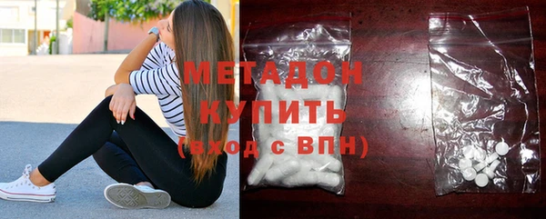 стаф Алзамай