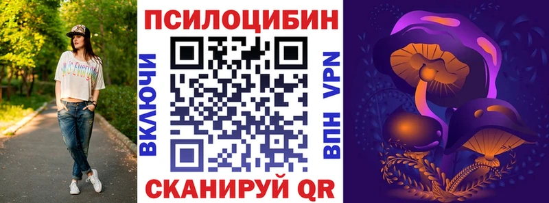 Псилоцибиновые грибы мухоморы  blacksprut ссылки  Калининск  купить наркотик 
